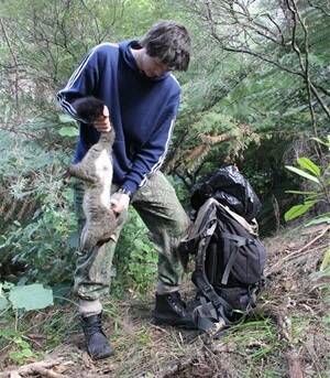 Shay Williamson, 18, of Matata, Bay of Plenty, NZ, has recovered over 10,000 possums in the last two years.