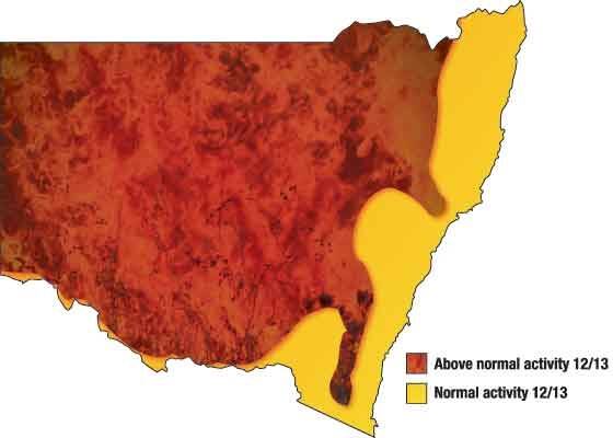 A significant fire threat has been forecast for this summer. 
