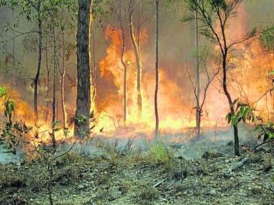 Hundreds of rural fire volunteers from across Queensland, left their everyday jobs and families, to commit countless hours to the frontline as unfavourable conditions made battling these bushfires extremely difficult.