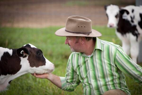 Moving with the times: Greg Dennis is about to start supplying the local market with his own milk. Photo: Paul Harris