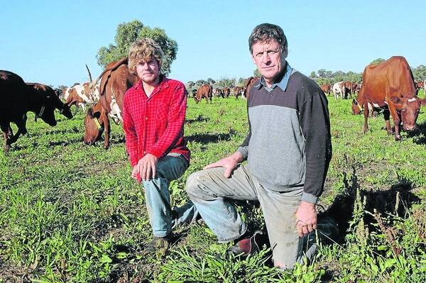 Damien and Warren Doecke have been at their Woods Point farm for about six months now since moving from their previous farm on the eastern side of the Swanport Bridge. Warren said they wanted to stay local because he believes the Murray Bridge area is the best place in Australia to milk cows.