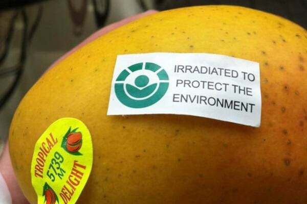 A mango on sale with a label indicating it has been treated with irradiation.