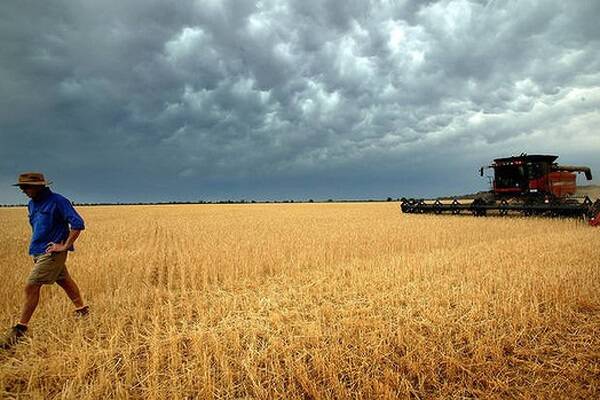 Wild ride for Vic crops