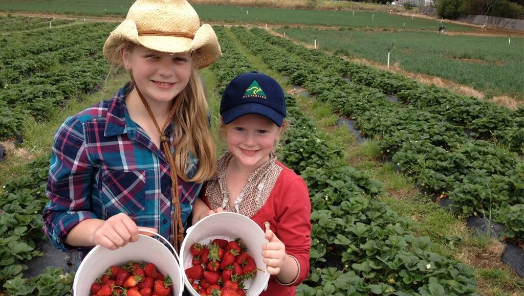 Teaching kids food origins Farm Online Australia