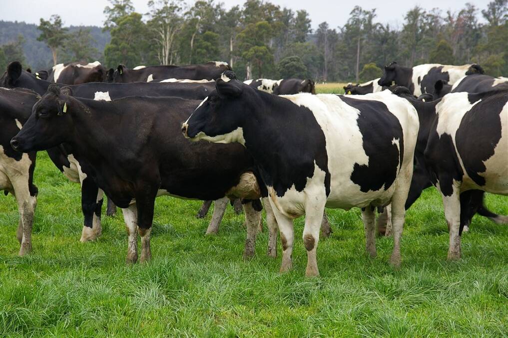 Farm gate milk prices have been announced and it's time for farmers to compare what's on offer.