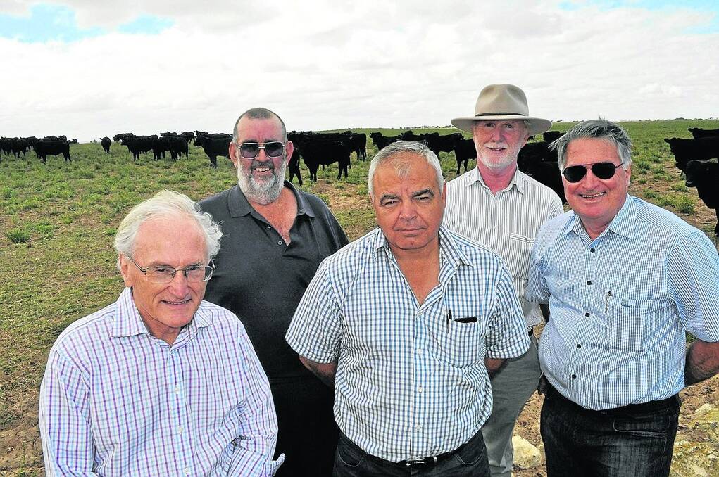 TEAM TOUR: CAAB chairman Peter Trahar; TFI beef manager Petar Bond; Angus Australia chairman Michael Gadd and CAAB CEO Phil Morley visit Angus Pure supplier Anthony Swan's property near Meningie during their tour last week.
