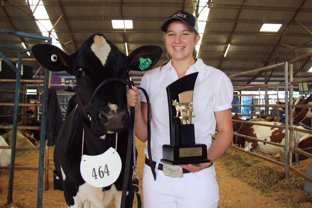 Sophie Wright of Gowrie Junction takes shelter after parading the Junior and Grand Champion exhibit in the RASQ Dairy Youth Show, Minash Mammoth Nita 2 from Minash Holsteins, Kingsthorpe.