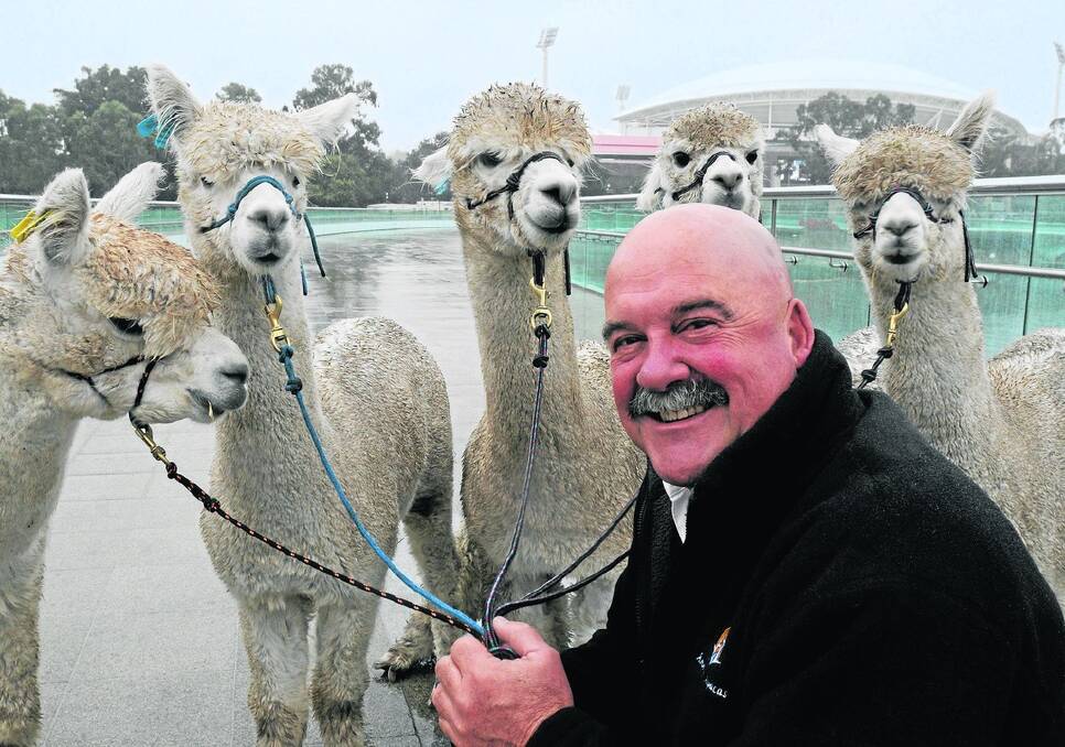 NICHE MEAT: Chris Williams, Ambersun Alpacas, Mount Compass (pictured at last week’s National Alpaca Excellence conference) says the industry is maturing and ready for sustainable fibre and meat markets.