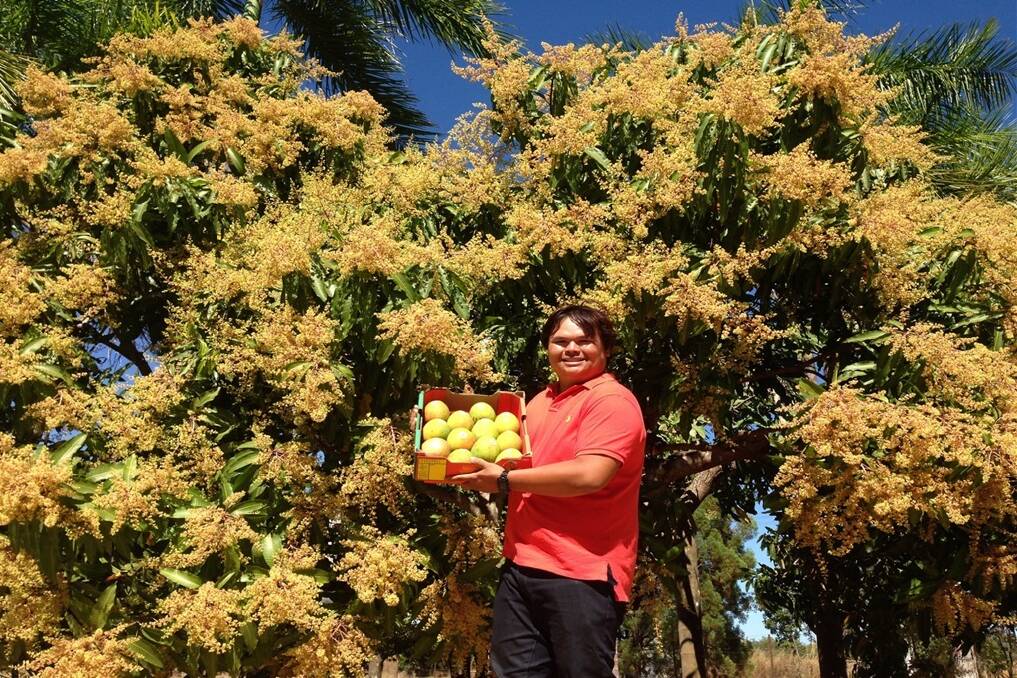 Han Siah, board director, Australian Mango Industry Association, Lambells Lagoon, Northern Territory, has embraced the National Broadband Network to improve his cropping potential. 