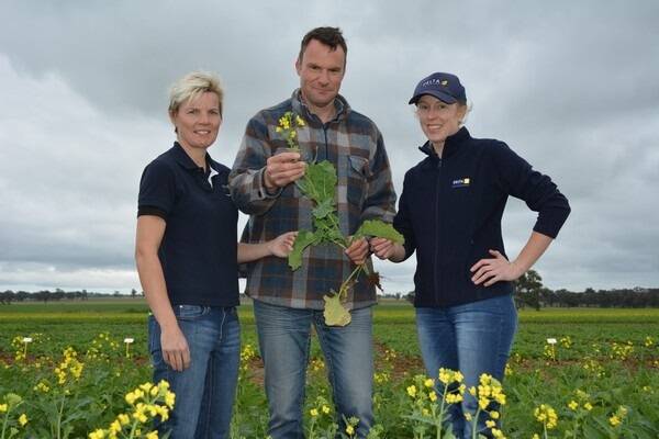 Delta Agribusiness hosted a canola field day in Yerong Creek on July 30.