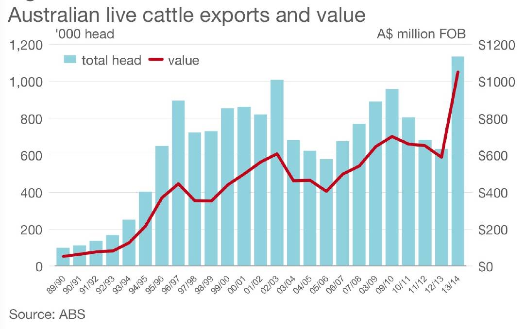 Australian live cattle export records smashed
