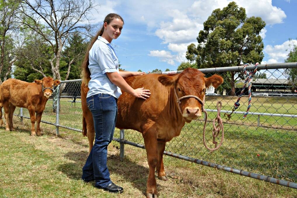 Jasmin Gardener, Picton, took part in the Farming Small Areas Expo junior judging workshop at the 2013 event.