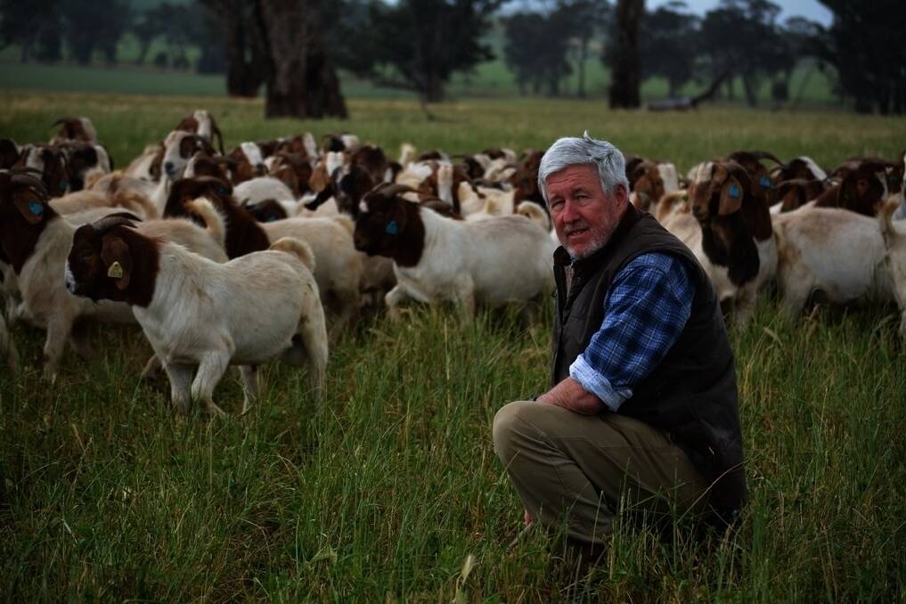 Colin Ramsay at his property near Cootamundra where the Boer Select Buck Evaluation trial was undertaken 