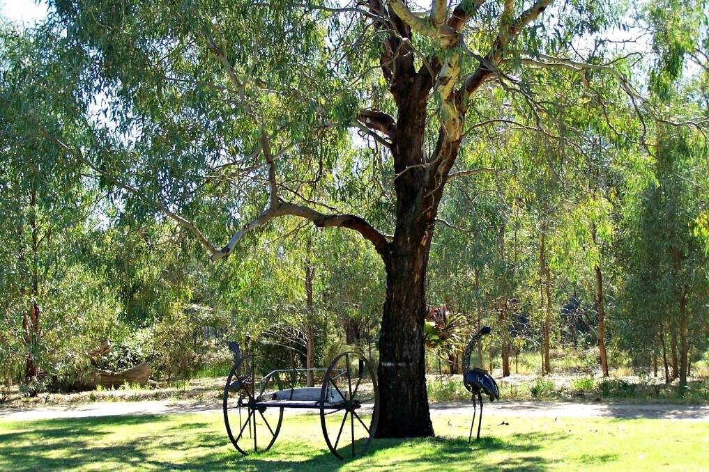 The garden at "Duckbend", Narrandera, which will be open on October 26 as part of the local garden open day.