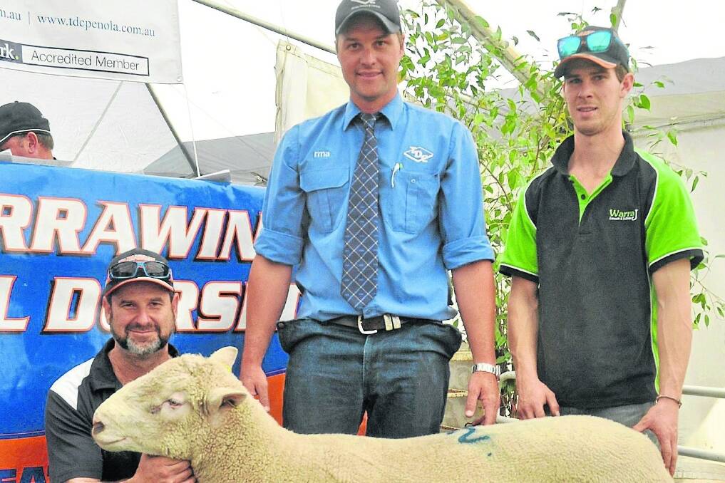 POLL TOPPER: Warrawindi stud principal David Galpin and son Jordan (right) with Thomas DeGaris & Clarkson auctioneer Ashley Braun and the $1700 top-price Poll Dorset ram that sold to WT Harvey & Co, Strathdownie, Vic.