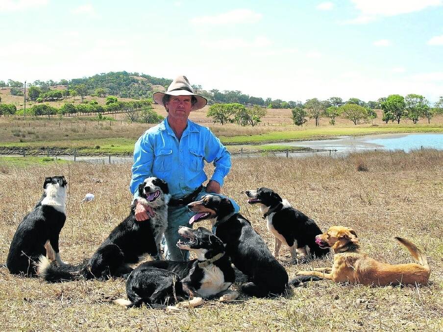 Darcy Ward has successfully converted rundown land choked with scrub regrowth, lantana and rubber vine into improved pastures and a successful grazing enterprise but now has to hand it to his neighbour.