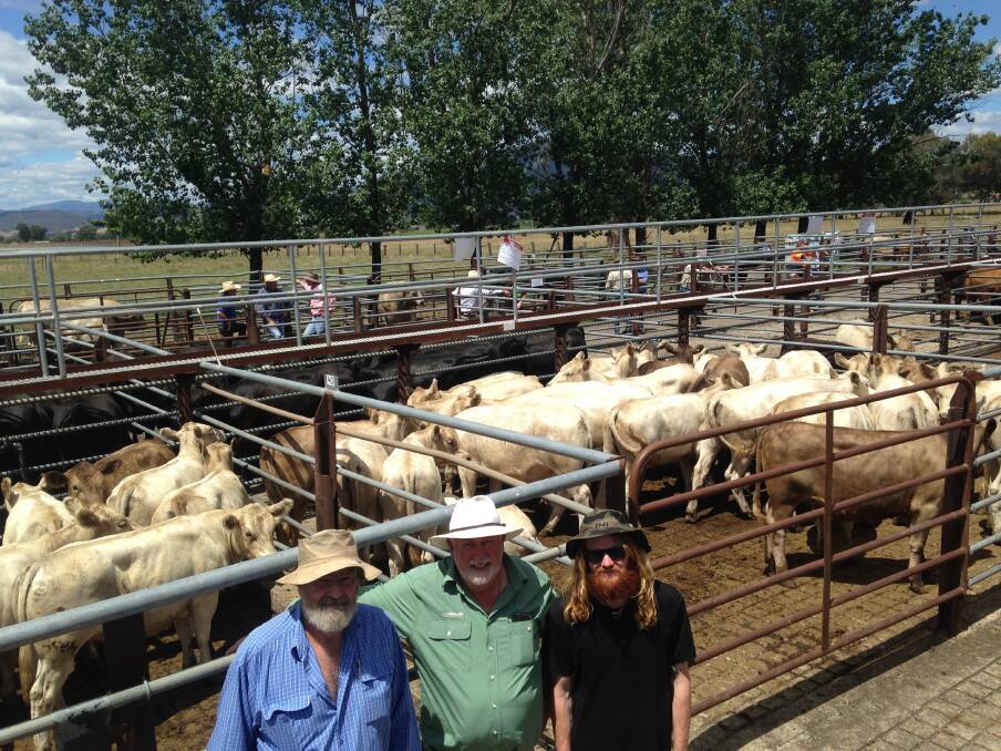 House Brothers, of Forest, Tasmania purchased 68 Murray Grey heifers at the sale. Pictured are vendor Neil Clydsdale, agent Bernard Atkins of Tasmania, and purchaser Adam House, House Brothers.