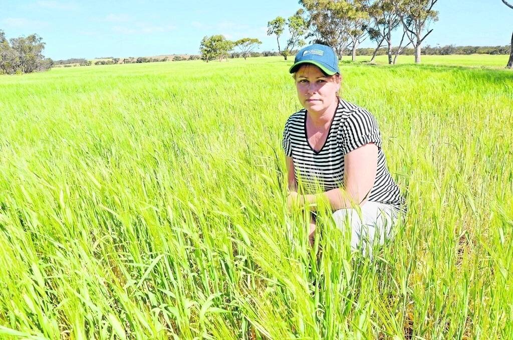 MOBILE MADNESS: Karen Baines, Ungarra, says without major improvements to mobile coverage in the country, farmers will be unable to fully capitalise on the capabilities of their smartphones.