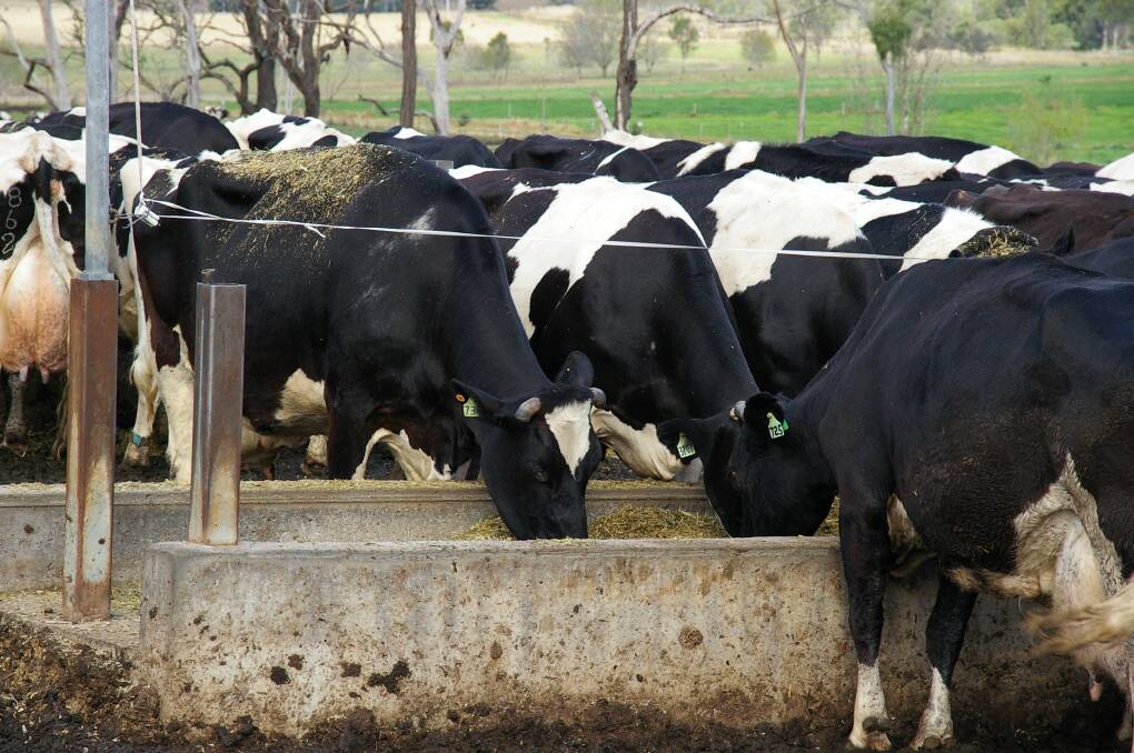 Ensuring cow feed is free of contamination is one of the ways to reduce the risk of botulism.