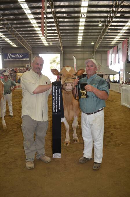 For the fourth year in succession Florando Sd Koala 7 was judged the grand champion Guernsey exhibit at International Dairy Week. Pictured is sponsor Andrew Hunt, Bullvine, Toronto, Canada, with the champion held by owner Steve Joyce.