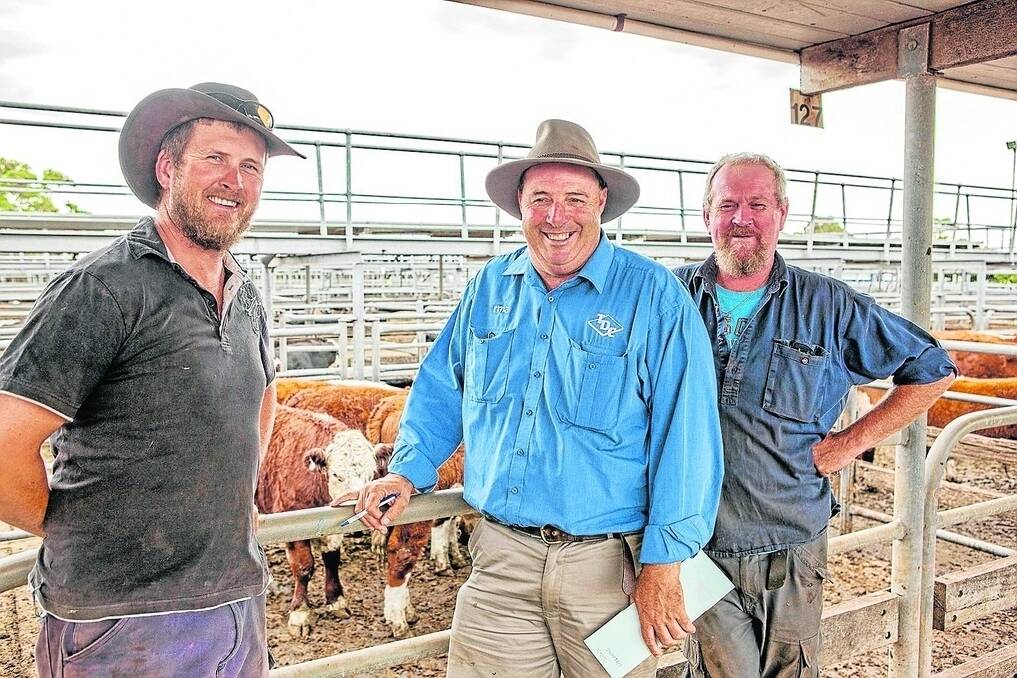 Steer traders Luke Tranter, Kalangadoo, TDC Penola’s Darren Maney, and Anthony Tranter, Kalangadoo, bought 62 Hereford and Angus steers including Highbury Trading’s 30 Weeran blood Angus steers at $635, looking to turn them over within 12 months at target weights of 630-650kg.