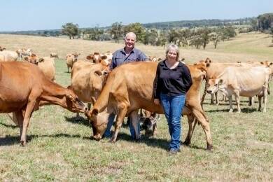 Trevor Saunders and Anthea Day, Gippsland, plan to use the Balanced Performance Index to select sires for their 380-cow Jersey herd.