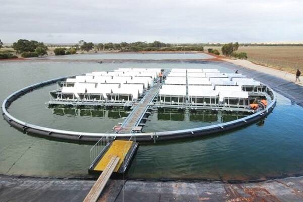 Infratech's floating solar panels near Jamestown in northern South Australia powers the area's wastewater facility.  
