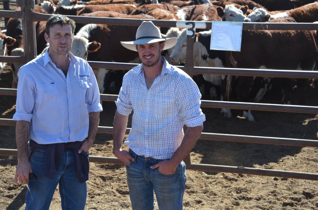 SAL Keith's Adam Bradley and client Trent Walker, who bought cattle for his Culburra feedlot.