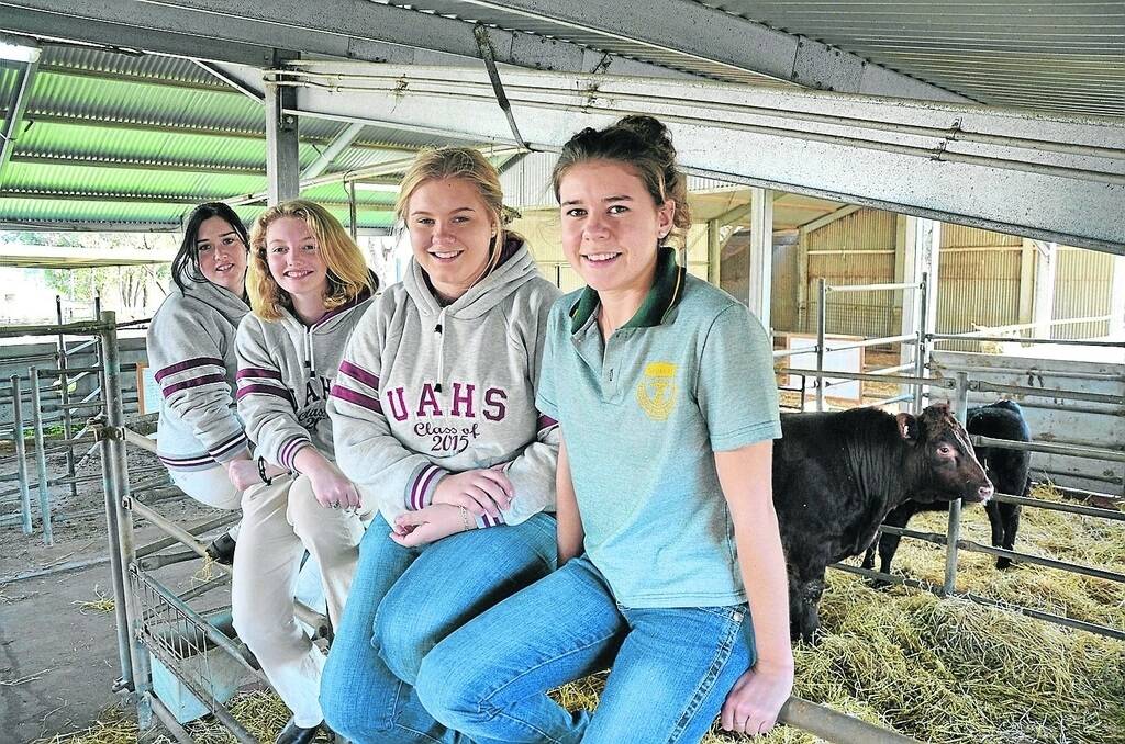 Urrbrae Agricultural High School Year 12 students Ashlee Rayner, Jess Brockhurst, Mikaela Jericho and Fallon Bawden are studying for a future in ag.