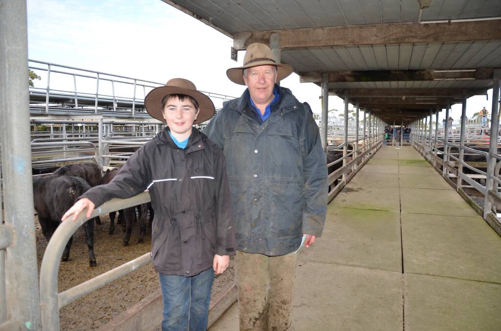 Enjoying the school holidays is Josh Beare, 12, with his grandfather P&L Livestock’s Chris Manser at Friday’s Mount Gambier store cattle market.