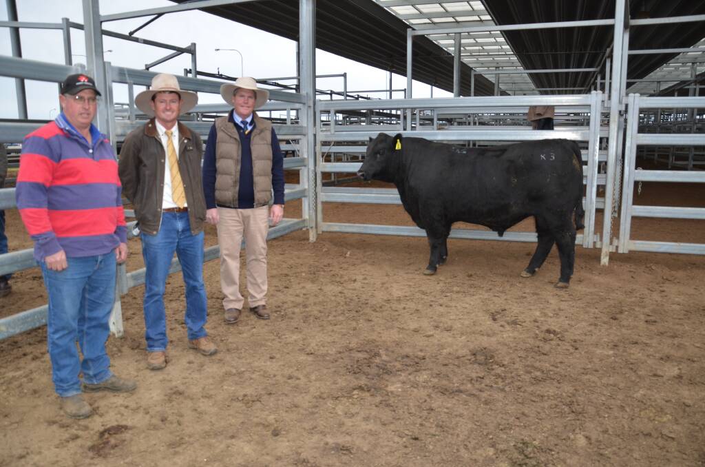 Top price buyer Evan Dunn, "Wendouree", Walcha, with stock and station agent and Heart Angus stud prinipal Chris Paterson and Purtle Plevey agent, Patrick Purtle. 