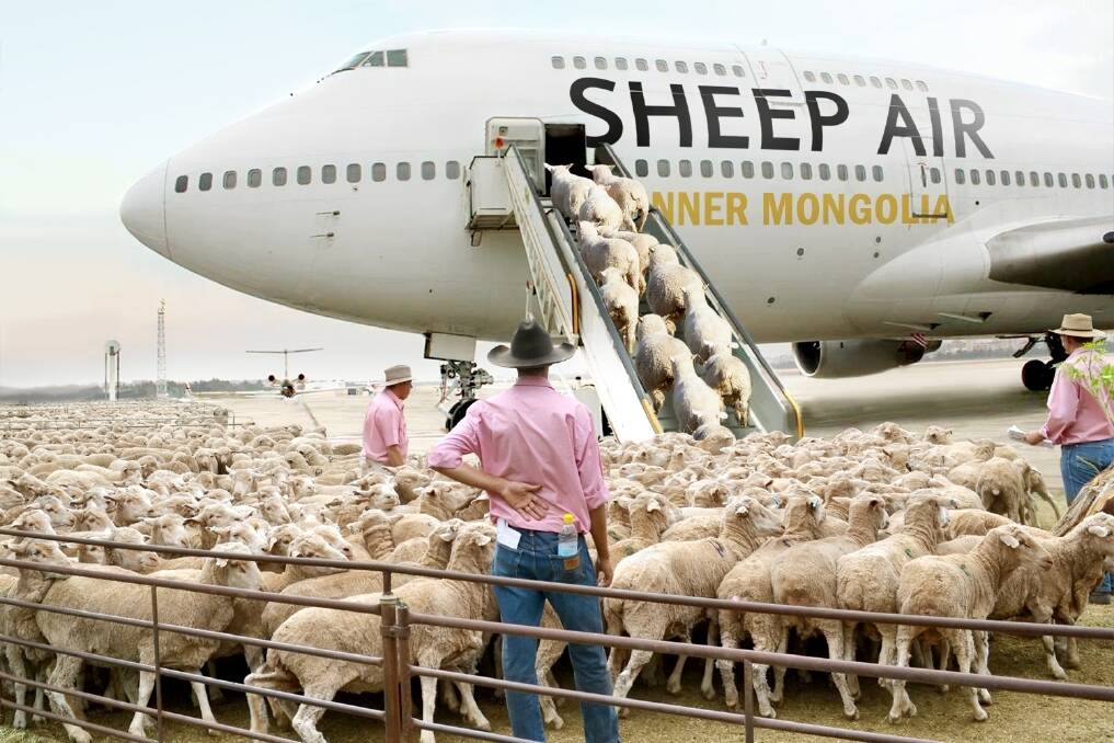 Digitally altered image doesn't depict actual method of livestock transport. Digital artwork Josh Hall.