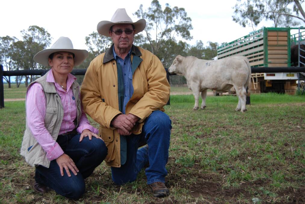 Kylie Catts, Futurity Shorthorns and Kyana Charolais, with father Terry Griffin, Temana Charolais, both Kenebri, via Baradine and top priced Charolais bull Kyana J142E which sold for $12,000 to the Bellinger family, Goodnwindi Charolais stud, Millicent, South Australia.