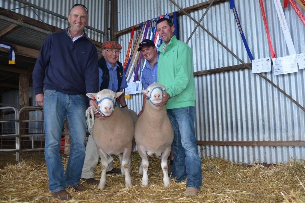 Newbold stud principal Bill Close and Craig McLachlan (centre) sold these $7000 top and $6400 second-highest priced Poll Dorset rams to John and Tim Hedges, Bugle Downs, Keith.