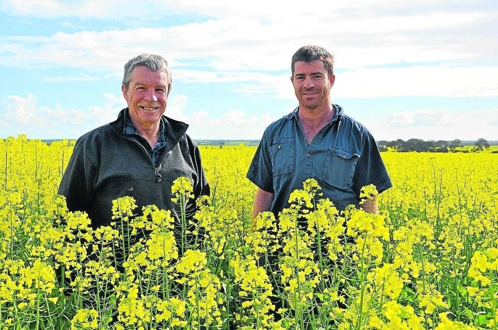 Alan and Michael Mills in their non-grazing canola in late August, which has now finished flowering and filling pods.