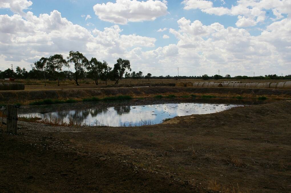 Early autumn is typically a time of maintenance around effluent ponds in southern dairy regions.