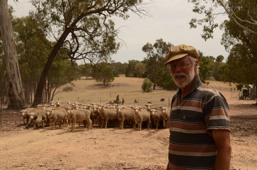 Canberra woolgrower John Ive's tree, pasture and livestock programs have lifted  productivity and absorbed far more carbon than he produces. 