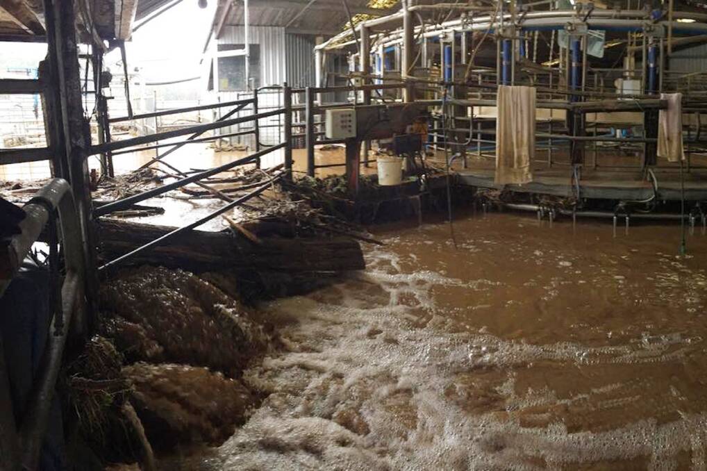 Swirling floodwaters pour into Paul Lambert's dairy at Merseylea.