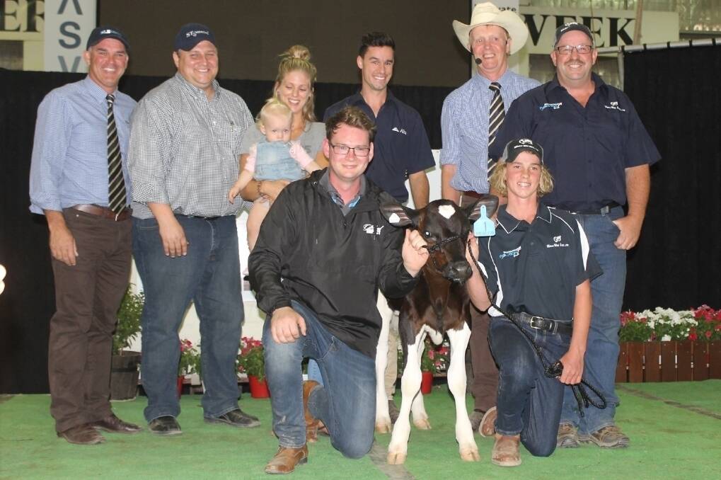 Celebrating the heifer sale are Scott Lord, Dairy Livestock Services; buyer Dan Carroll, Sexing Technologies, Texas; vendors Ellie, baby Eva and Declan Patten and Callum Moscript; Brian Leslie, DLS; Mark Patullo, World Wide Sires, and handler Charlie Lloyd.