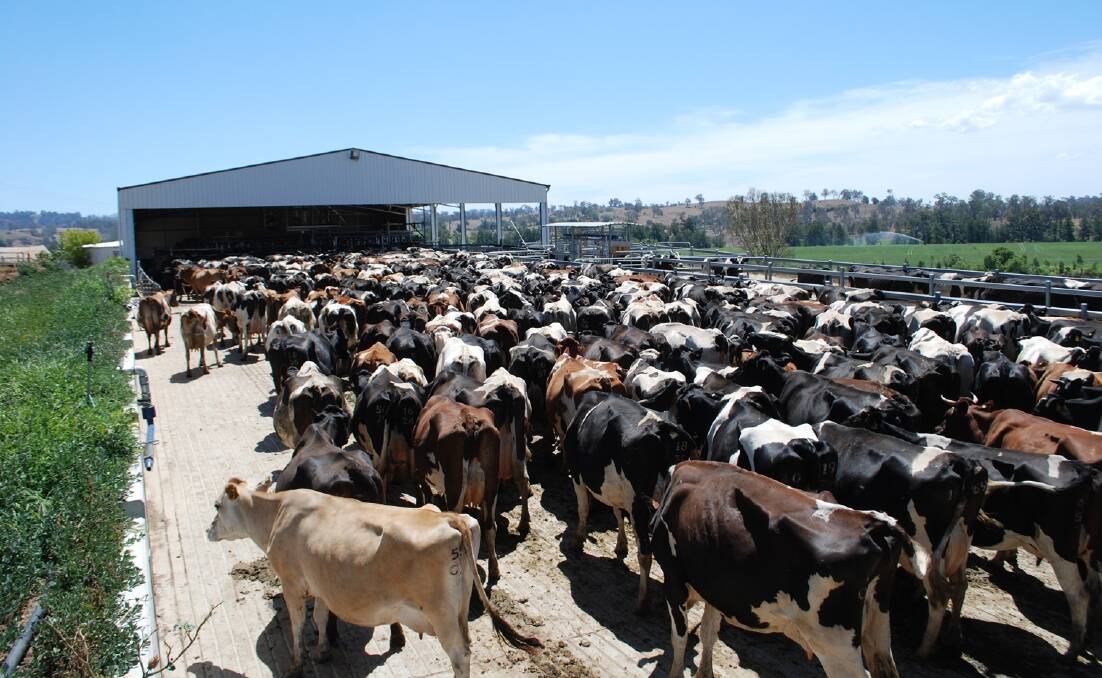 Dairy production continues to slide against farm gate price and rising input costs.