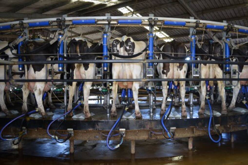 Dairy farmers need electricity for milking machinery, milk cooling and storage, and milk processing procedures on farm.