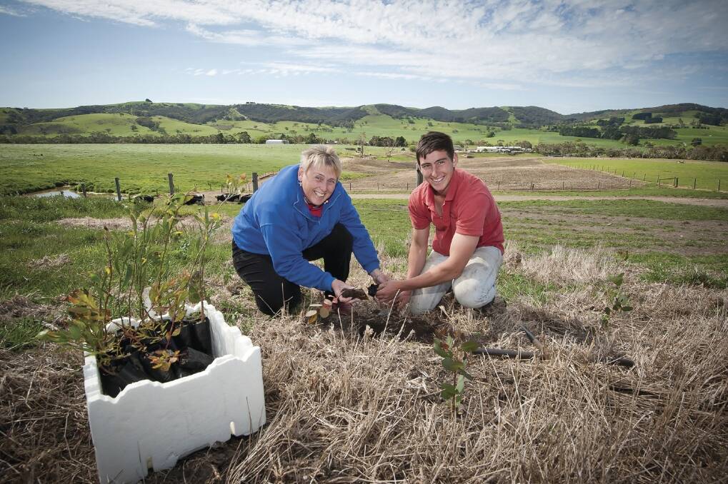 Mandy and Andrew Pacitti plant trees on the family farm at Myponga, South Australia