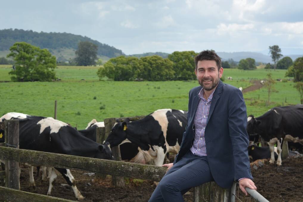 Rabobank senior dairy analyst Michael Harvey says milk production growth will be modest as the national herd takes time to rebuild.