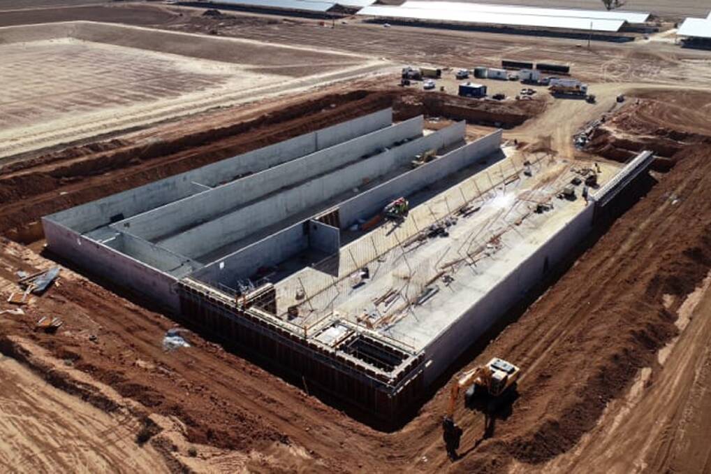 The giant biodigester at Moxey Farms is almost 100 metres long.  Photo: Moxey Farms