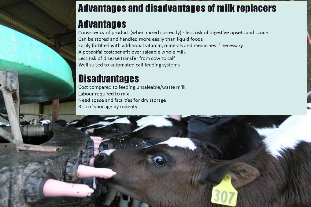 Understanding calf milk replacers