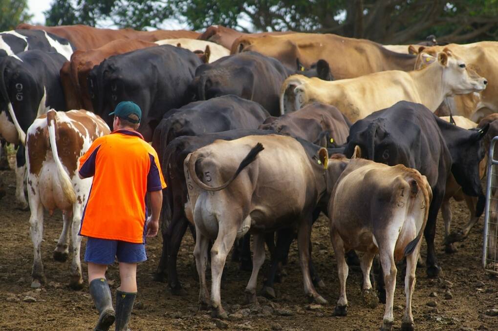 We must ensure the NSW dairy industry’s survival for future generations of consumers and dairy farmers in NSW,