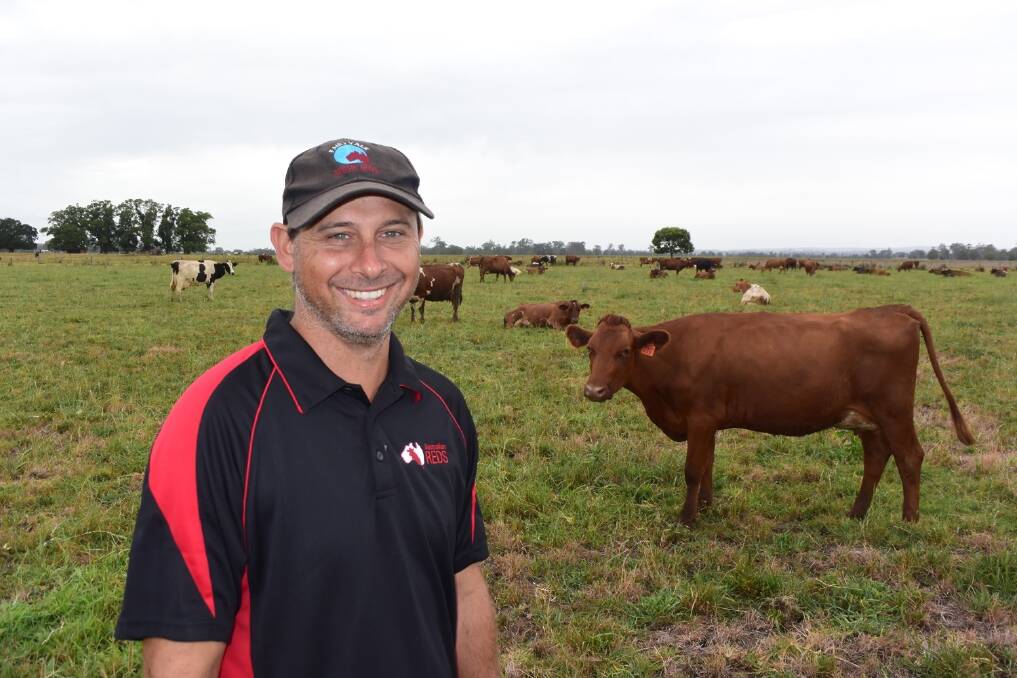 Terry Blasche, Fairy Hill, Casino, has improved his herd genetics through the introduction of Scandinavian red dairy semen. Last year the Blasche’s herd recorded the breed's greatest genetic gain over the previous 12 months.