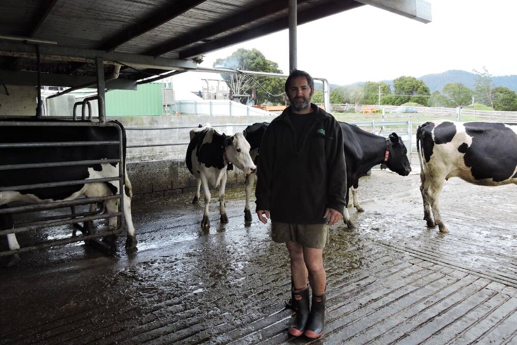 AMS farmer, Richard Hori, from Tasmania says that while the approach to mastitis management is different to a conventional dairy, it's not difficult.