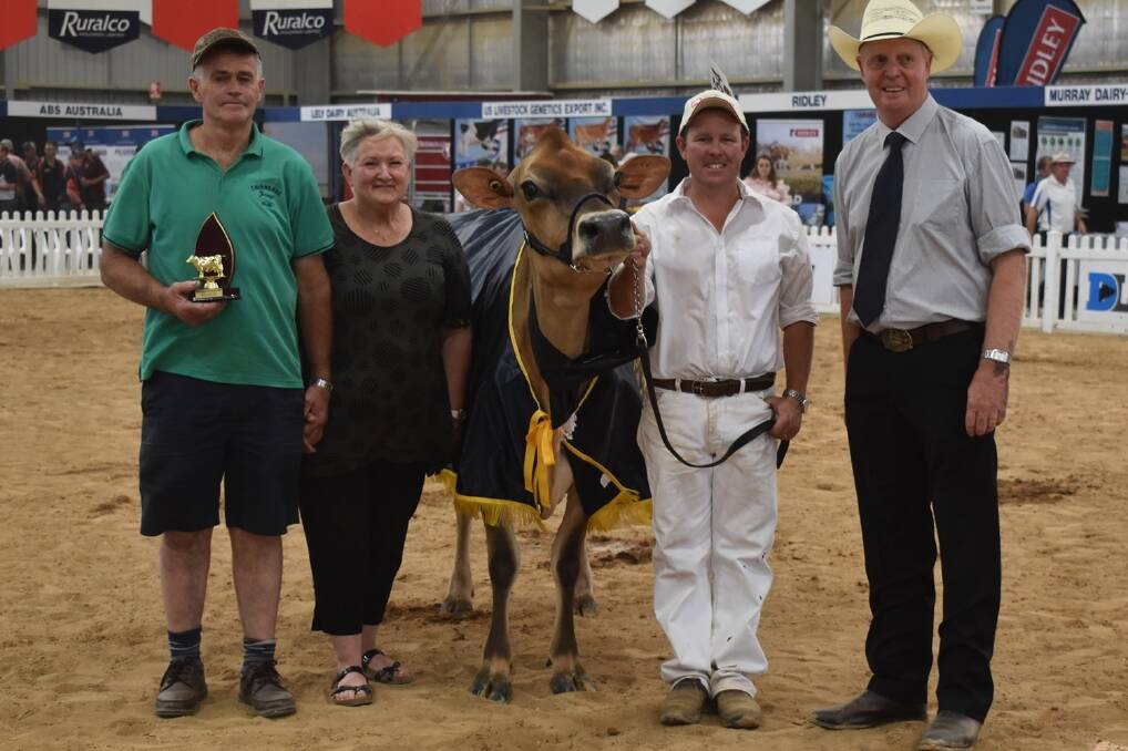 Alan and Janine Carson with the grand champion Jersey cow Cairnbrae Valentino Daisy 11, held by leader Brad Gavenlock with judge Brian Leslie.