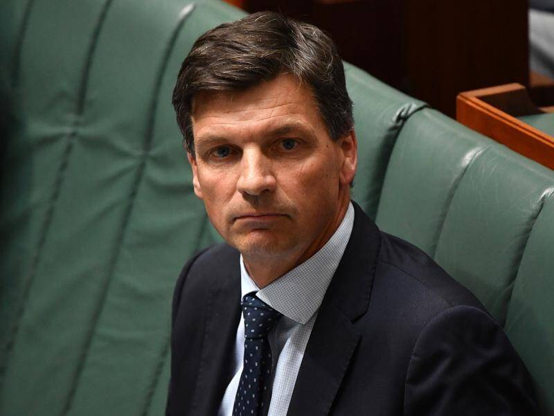 Federal Energy Minister Angus Taylor is under pressure from Labor and the Greens over land clearing.